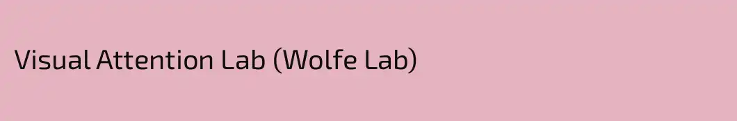Visual Attention Lab (Wolfe Lab)
